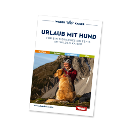 Ein Flyer mit der Aufschrift "Urlaub mit Hund" und einem Bild von einem Paar mit einem Hund in einer Landschaft. Der Hintergrund zeigt sanfte Hügel und eine entspannte, natürliche Atmosphäre.