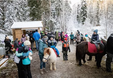 Eine winterliche Szene mit vielen Menschen, die sich um Ponys und Kinder gruppieren. Im Hintergrund sind schneebedeckte Bäume und ein kleines Gebäude zu sehen.