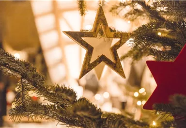 A tastefully decorated Christmas tree with a glittering star and red ornaments. In the background, soft lights can be seen, creating a festive atmosphere.