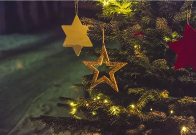 Ein geschmückter Weihnachtsbaum mit glitzernden Sternen und Lichtern. Die festliche Atmosphäre strahlt Gemütlichkeit aus.