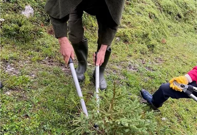 Ein Mann in einem grünen Umhang schneidet eine junge Pflanze mit einer Heckenschere. Im Hintergrund ist eine grüne Wiese zu sehen.