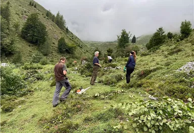 Eine Gruppe von Menschen arbeitet in einer grünen, hügeligen Landschaft. Der Himmel ist bewölkt und die Umgebung wirkt ruhig und natürlich.