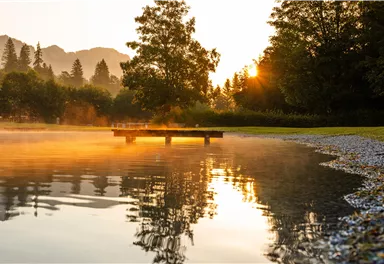 A tranquil lake at sunrise with gentle wisps of fog. A wooden platform extends into the water, surrounded by trees.