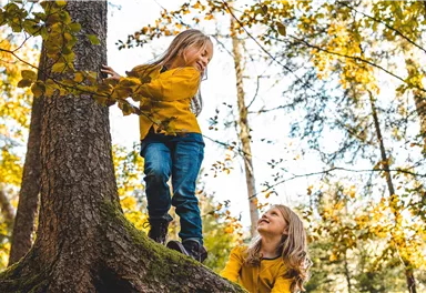 Zwei Kinder in gelben Pullovern spielen im Wald. Ein Mädchen klettert auf einen Baum, während das andere unten steht und lächelt.