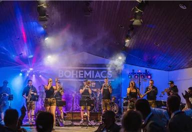 A lively band is playing on a stage, surrounded by colorful lights and fog effects. The audience is thrilled and applauding.