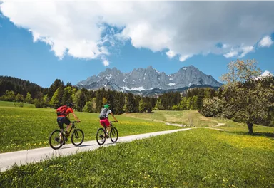 Two cyclists are riding on a path through a green meadow. In the background, impressive mountains and a blue sky can be seen.