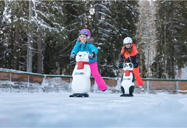 Zwei Kinder fahren auf dem Eis mit Eishockeyschlitten in Form von Tieren. Die Umgebung ist verschneit und von Bäumen umgeben.
