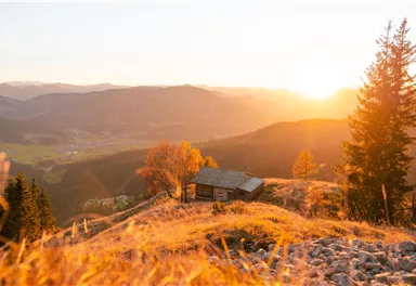 Eine malerische Berglandschaft bei Sonnenaufgang mit goldenem Gras. Im Vordergrund steht eine kleine Hütte, umgeben von Bäumen und sanften Hügeln.
