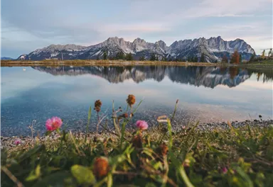 Eine ruhige Landschaft mit einem klaren See und beeindruckenden Bergen im Hintergrund. Bunte Blumen wachsen am Ufer des Sees.