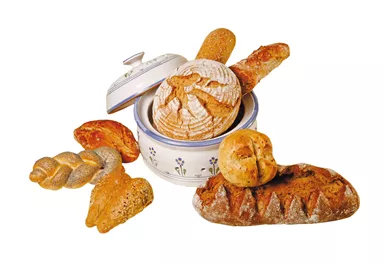 Ein Korb voller frischer Brötchen und Brot. Verschiedene Brotsorten sind liebevoll arrangiert.