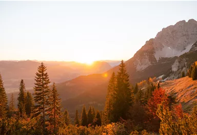 Ein atemberaubender Sonnenaufgang über den Bergen, umgeben von grünen Bäumen. Die Landschaft strahlt warme Farben im Licht der Morgensonne aus.