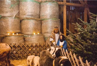 Eine traditionelle Krippe mit Maria und Josef, umgeben von Tieren. Im Hintergrund sind Heuballen und eine Weihnachtschimne vorhanden.