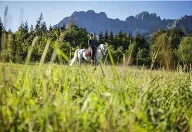 Ein Reiter auf einem weißen Pferd in einer grünen Wiese. Im Hintergrund sind bewaldete Berge und ein klarer blauer Himmel zu sehen.