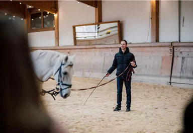 Eine Person steht in einer Reithalle und hält ein Pferd mit einer langen Leine. Der Boden ist mit Sand bedeckt und es gibt große Fenster, die Tageslicht hereinlassen.