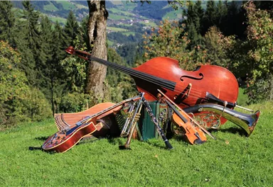 Eine Sammlung von Musikinstrumenten liegt auf grünem Gras, umgeben von Bäumen. Zu sehen sind eine Geige, ein Kontrabass, eine Zither und mehrere Blasinstrumente.