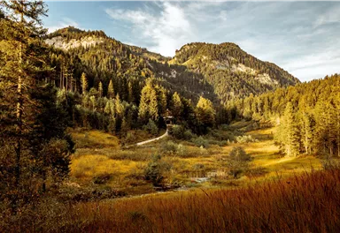 A picturesque mountain landscape with lush forests and gentle hills. In the foreground, a vast golden meadow extends.