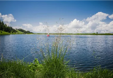 A peaceful lake surrounded by green grass and trees. White clouds drift past in the blue sky as a small boat sails on the water.