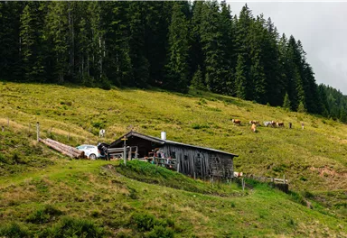 Eine einfache Hütte steht auf einer grünen Wiese, umgeben von Bäumen. Im Hintergrund sind Kühe zu sehen, die auf der Weide grasen.