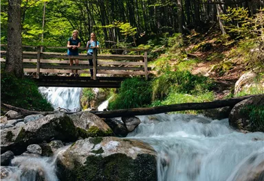 Ein klarer Bach fließt über Felsen in einem Waldgebiet. Zwei Personen stehen auf einer Holzbrücke und genießen die Natur.