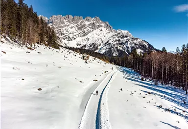 Eine verschneite Landschaft mit einem klaren blauen Himmel und majestätischen Bergen im Hintergrund. Ein schmaler Pfad führt durch die Winterlandschaft.