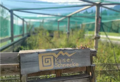 A wooden bench with the sign "Emperor Snail" is located in a green area. In the background, nets are visible, which are likely protecting plants.