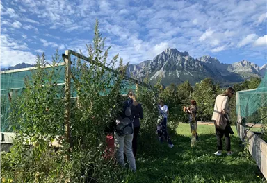 A group of people in a garden with tall plants and a clear sky. Impressive mountains are visible in the background.