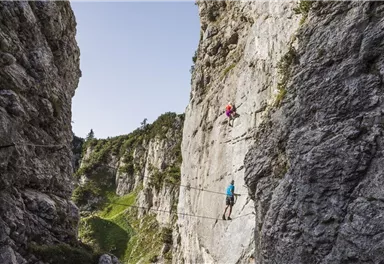 Zwei Kletterer erklimmen eine steile Felswand in einer beeindruckenden Schlucht. Die umliegende Landschaft ist grün und bergig.