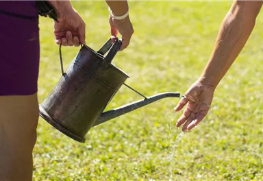 Eine Person gießt mit einer Gießkanne Wasser auf den Boden. Das Gras im Hintergrund ist grün und sonnig.