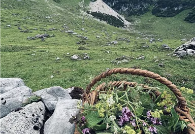 A basket of colorful wildflowers stands on a green mountain meadow. In the background, majestic mountains rise under a cloudy sky.
