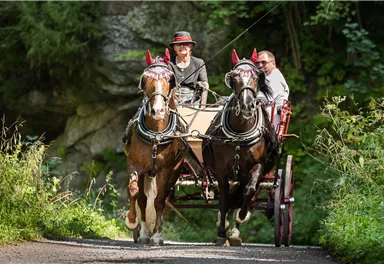 Two horses pull a carriage on a narrow path. In the background, green trees and rocks can be seen.