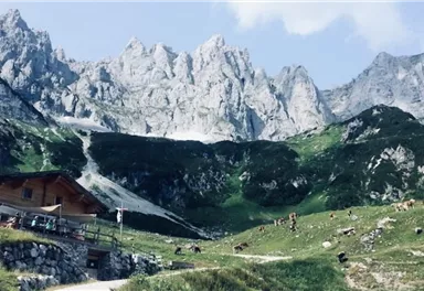 An impressive mountain landscape with rugged peaks and lush green. In the foreground stands a cozy alpine hut, surrounded by grazing cows.