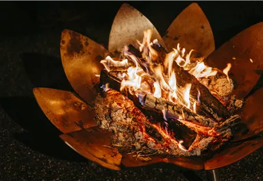 A beautiful fire in a decorative fire basket. The flames dance over the burning wood.