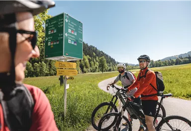Three cyclists are standing at a signpost in a green landscape. The sun is shining and the sky is clear.
