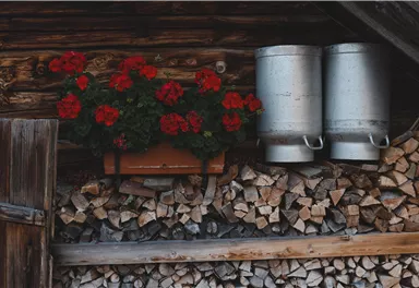 Ein Holzgebäude mit bunten roten Blumen und zwei silbernen Milchkannen. Darunter liegt ein Holzlager.