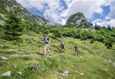 Eine Gruppe von Wanderern erkundet eine grüne Berglandschaft. Im Hintergrund sind hohe Felsen und ein blauer Himmel mit Wolken zu sehen.