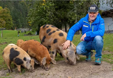 Ein Mann sitzt auf dem Boden und streichelt ein Schwein. Um ihn herum fressen mehrere Schweine auf dem Boden.
