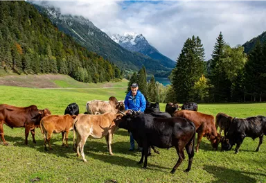 Ein Mann steht in einer grünen Wiese umgeben von Kühen. Im Hintergrund sind Berge und ein blauer Himmel sichtbar.