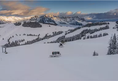 A vast winter landscape with snow-covered mountains and fir trees. The sun rays gently shine on the snowy area.