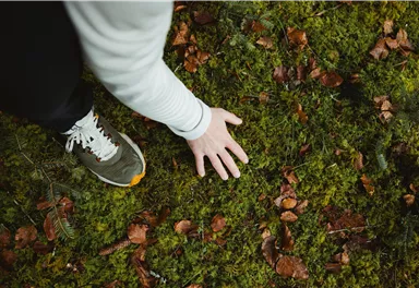 A hand touches the green moss on the ground while a foot in a sneaker stands next to it. Colorful leaves are scattered on the earth.