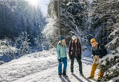 Drei Freunde stehen auf einem verschneiten Waldweg. Die Sonne scheint durch die Bäume und es ist eine winterliche Atmosphäre.