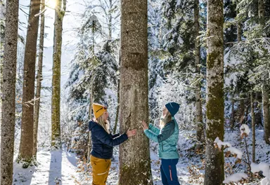 Zwei Personen stehen in einem verschneiten Wald und umarmen einen Baum. Die Sonne scheint durch die Bäume und sorgt für eine freundliche Atmosphäre.