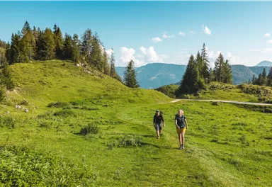 Two hikers are walking on a green path through a picturesque landscape. In the background, trees and mountains can be seen.