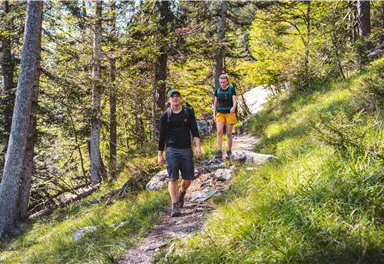 Two hikers are walking on a path through a forest. It is sunny and nature is green and vibrant.