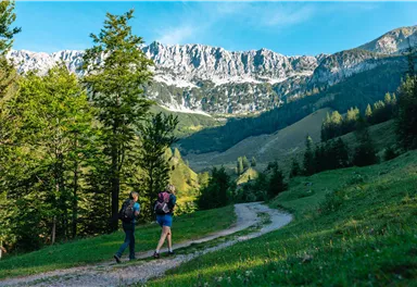 A picturesque mountain landscape with green meadows and tall trees. In the foreground, some rustic cabins are visible.