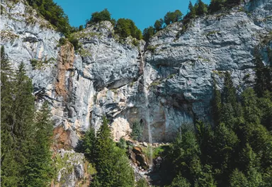 An impressive rock face with green trees and clear sky. In the foreground, dense forests can be seen.