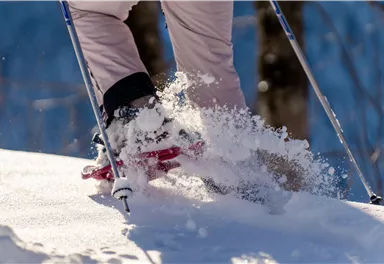 A person skis on fresh snow. The surroundings are wintry and the sun is shining.
