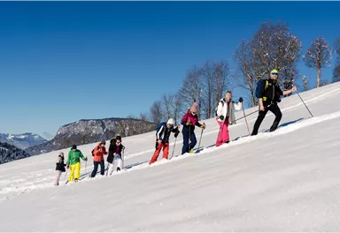 A group of people is hiking in the snow on a hill. The sky is clear and blue, and the landscape is wintry.