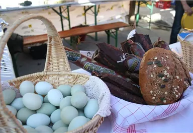 A basket with green eggs is standing on a table. Next to it are various breads and types of sausages.