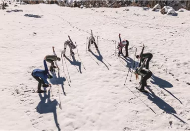 A group of skiers is practicing in the snow. They are in an open winter landscape with sunshine and trees in the background.