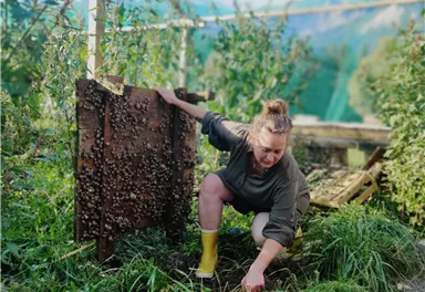 A person is working in the greenhouse and removing weeds. In the background, there are plants and an impressive mountain landscape.